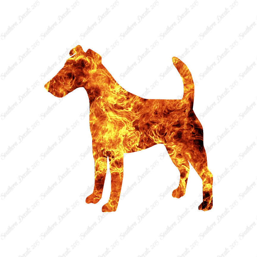 Smooth Fox Terrier Dog Breed