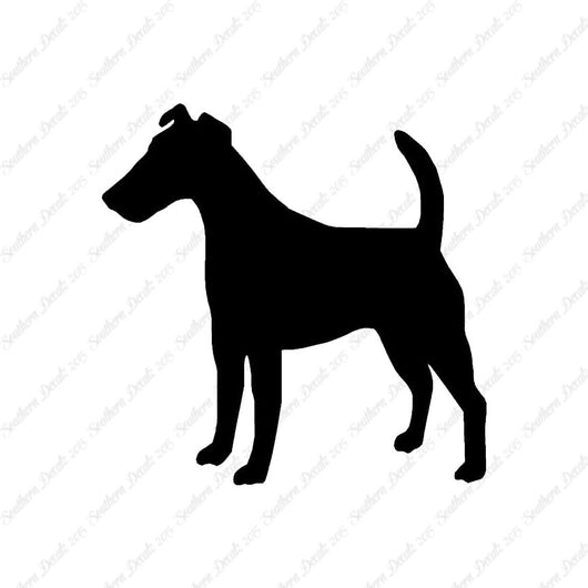 Smooth Fox Terrier Dog Breed