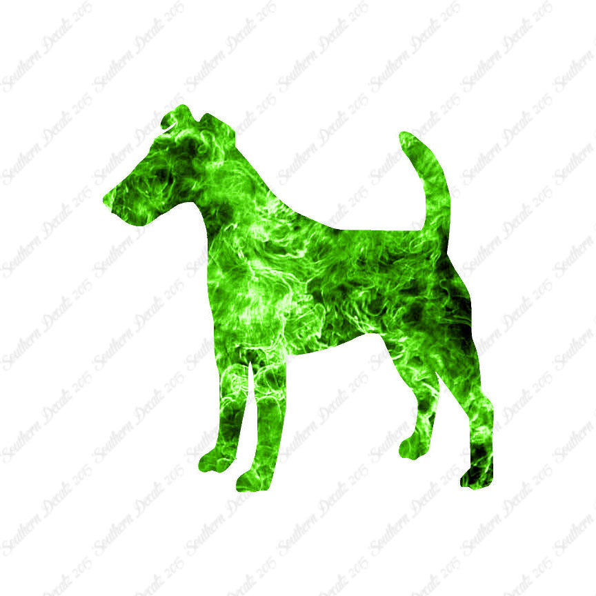 Smooth Fox Terrier Dog Breed