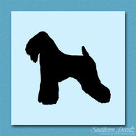 Soft Coated Wheaten Terrier Dog Breed