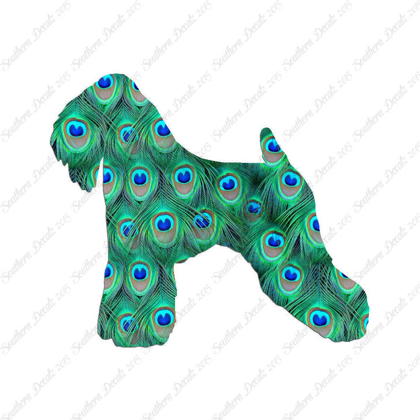 Soft Coated Wheaten Terrier Dog Breed