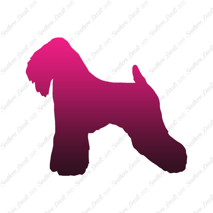 Soft Coated Wheaten Terrier Dog Breed