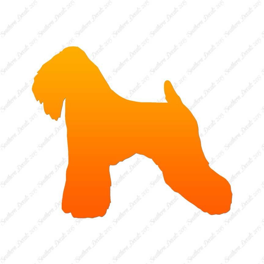 Soft Coated Wheaten Terrier Dog Breed