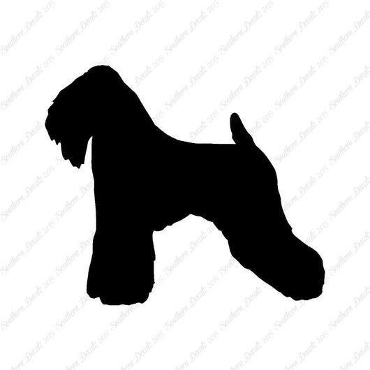 Soft Coated Wheaten Terrier Dog Breed