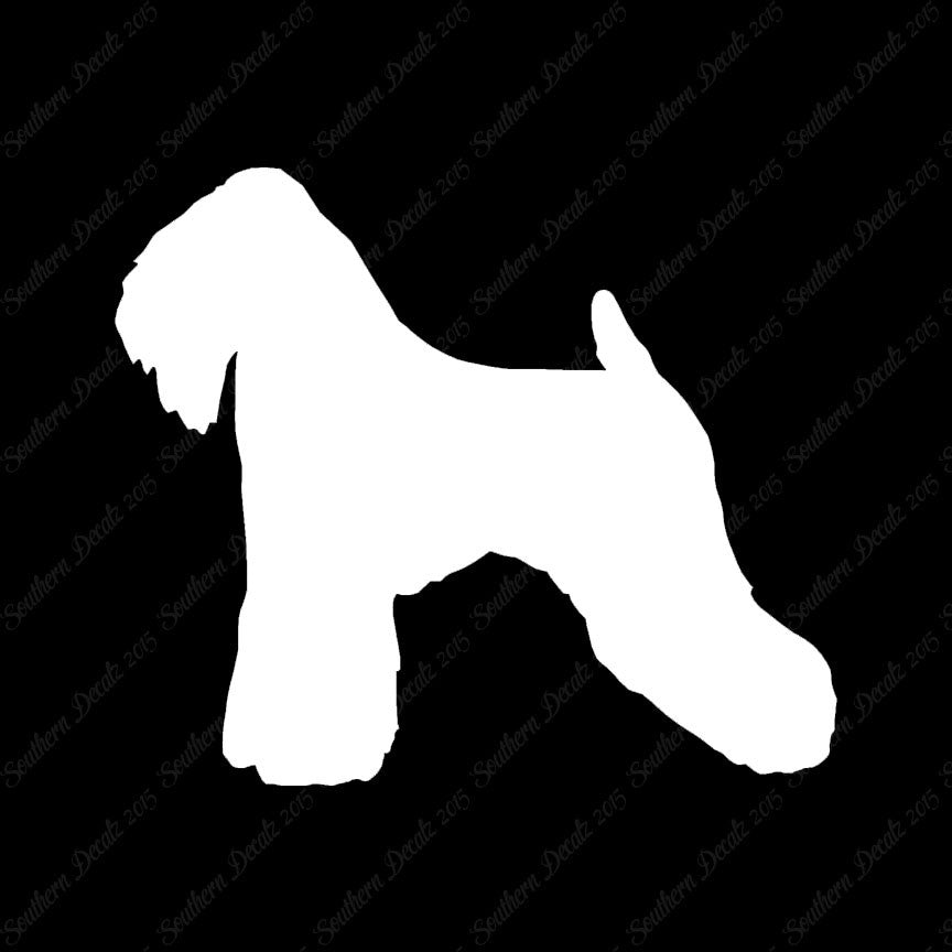 Soft Coated Wheaten Terrier Dog Breed
