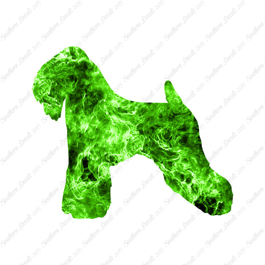 Soft Coated Wheaten Terrier Dog Breed