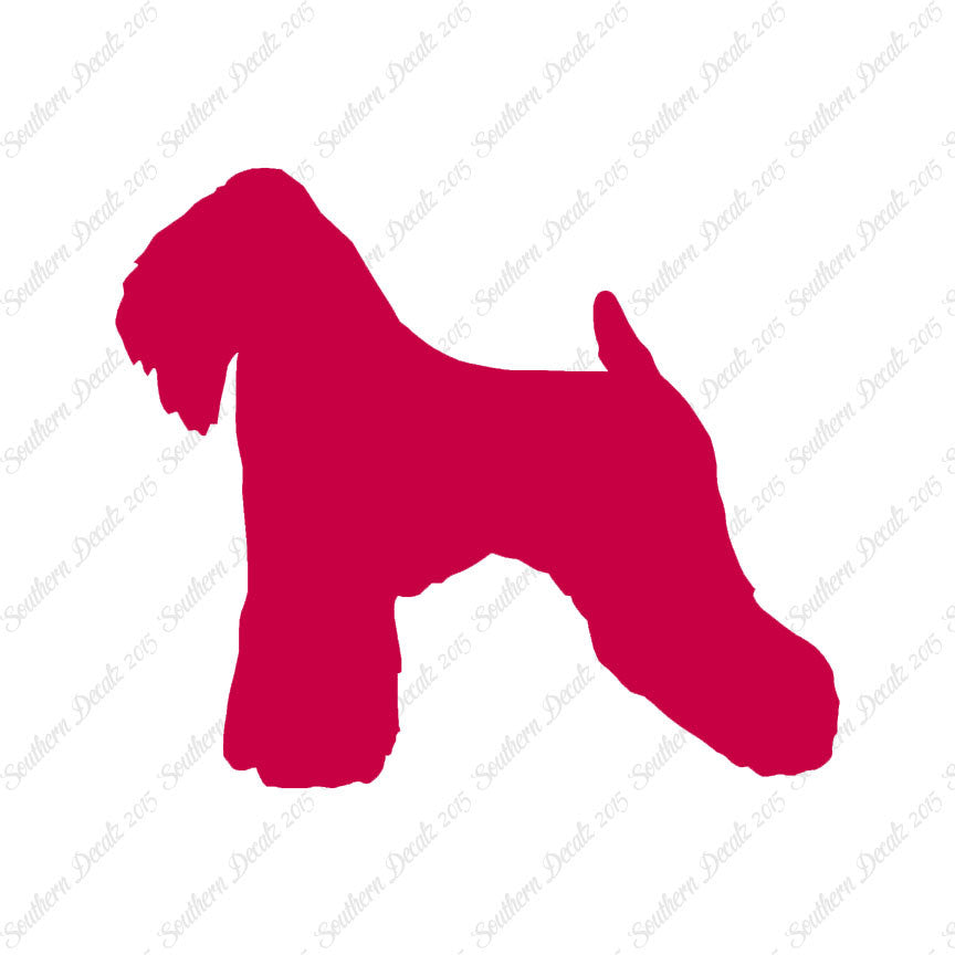 Soft Coated Wheaten Terrier Dog Breed