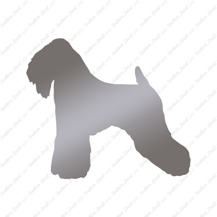 Soft Coated Wheaten Terrier Dog Breed