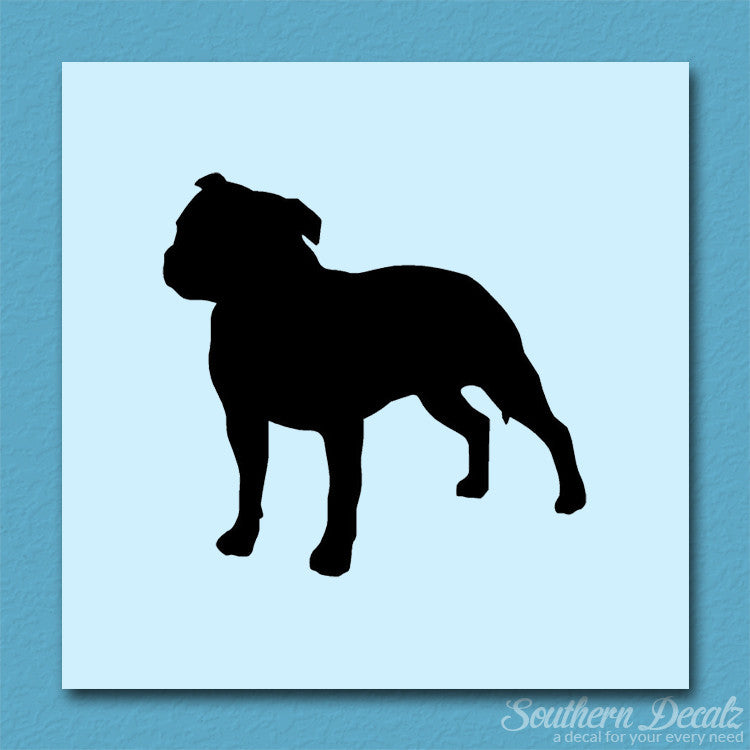 Staffordshire Bull Terrier Dog Breed
