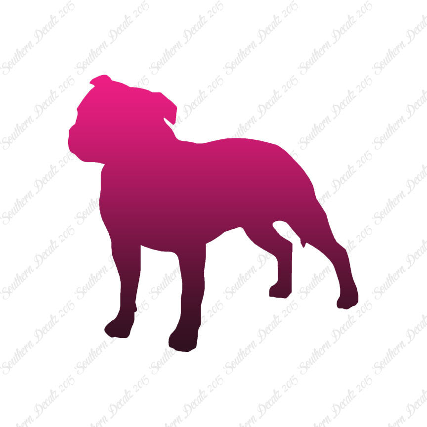 Staffordshire Bull Terrier Dog Breed