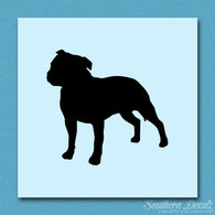 Staffordshire Bull Terrier Dog Breed