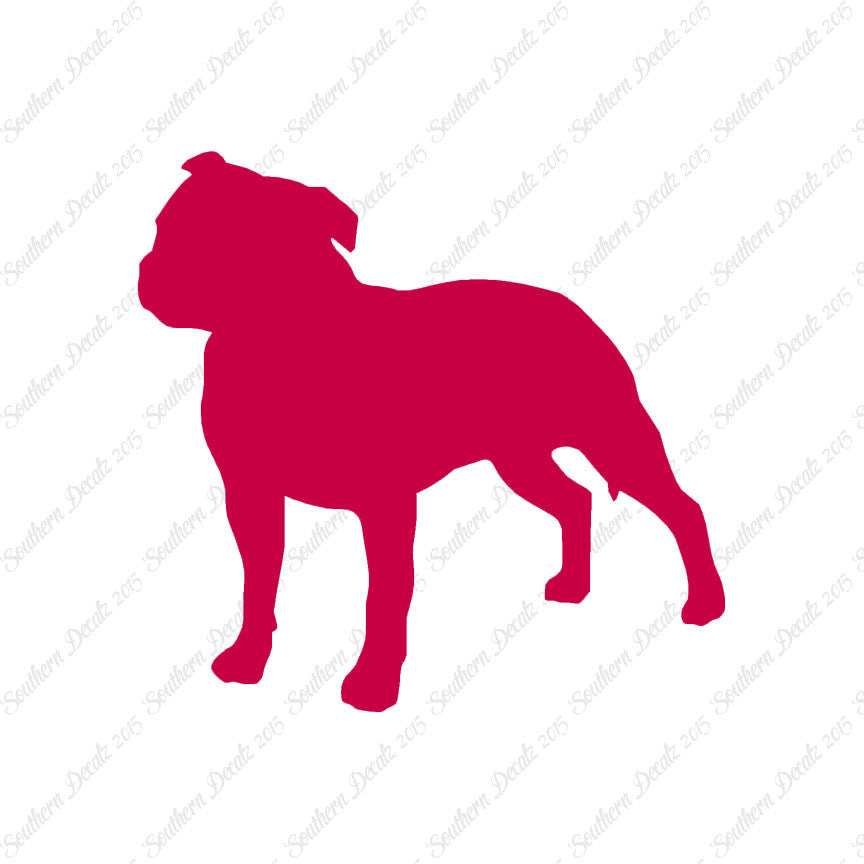 Staffordshire Bull Terrier Dog Breed