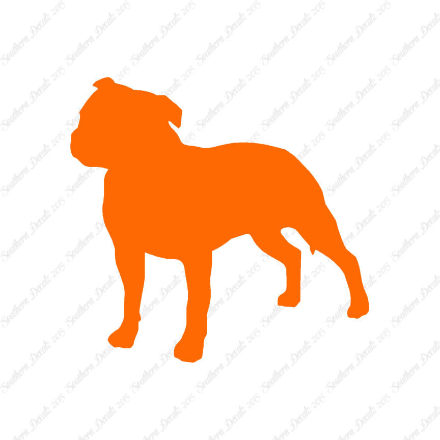 Staffordshire Bull Terrier Dog Breed