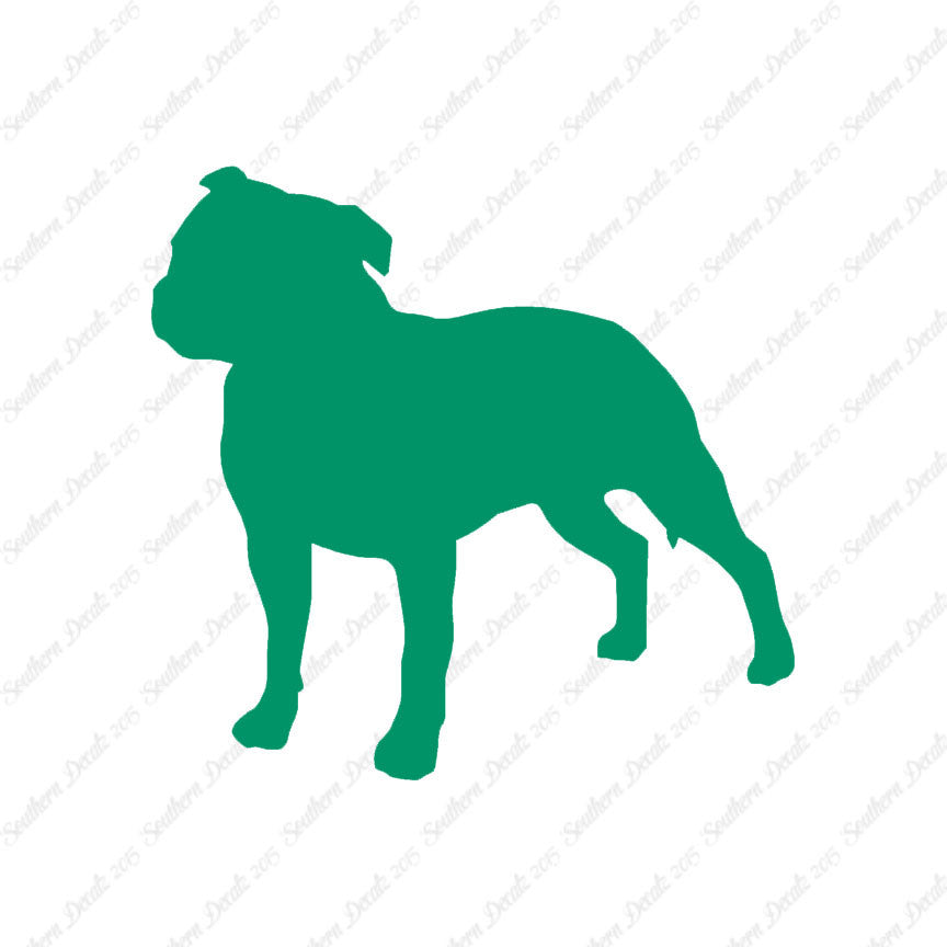 Staffordshire Bull Terrier Dog Breed