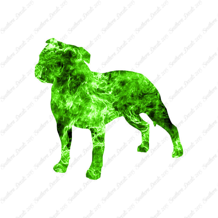 Staffordshire Bull Terrier Dog Breed