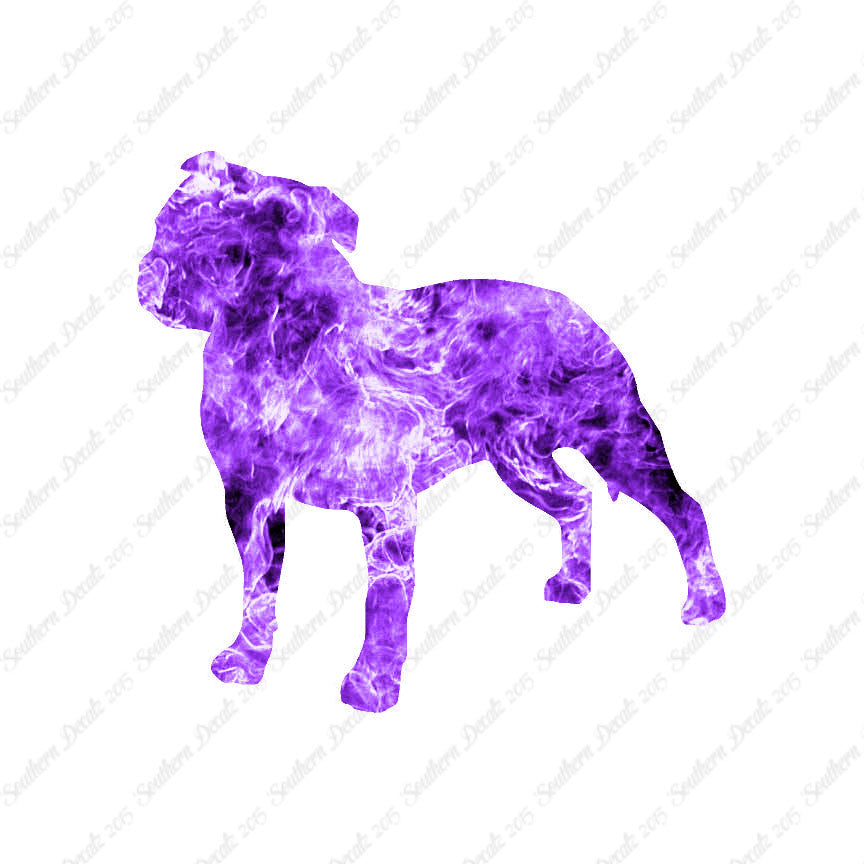Staffordshire Bull Terrier Dog Breed
