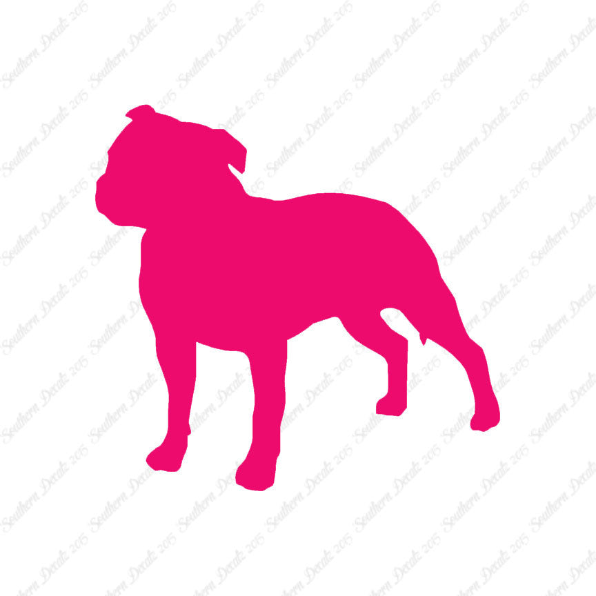 Staffordshire Bull Terrier Dog Breed