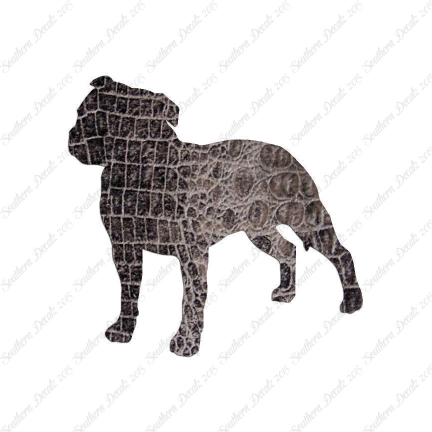 Staffordshire Bull Terrier Dog Breed