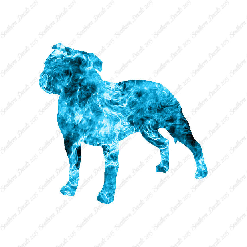 Staffordshire Bull Terrier Dog Breed