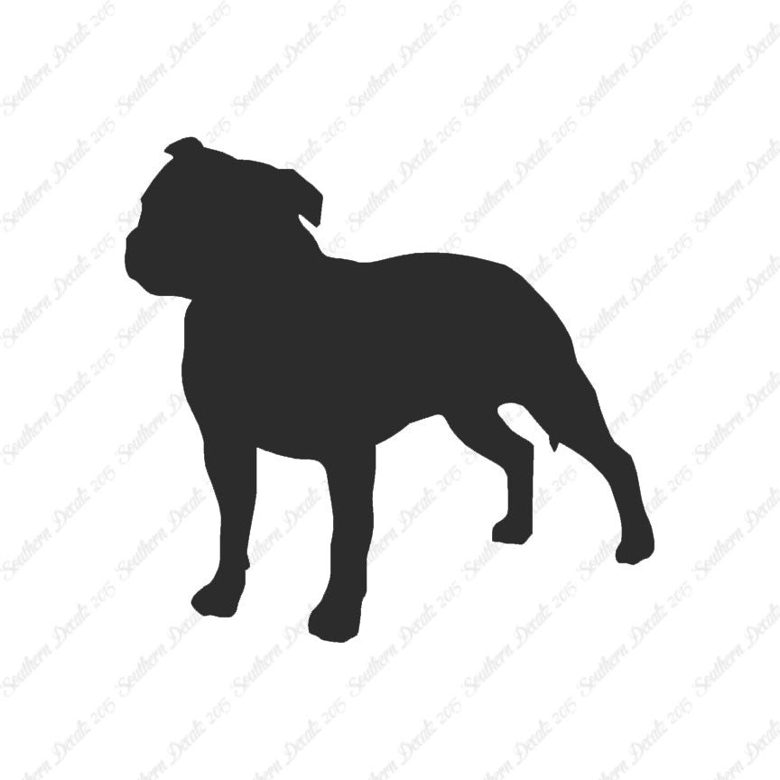 Staffordshire Bull Terrier Dog Breed