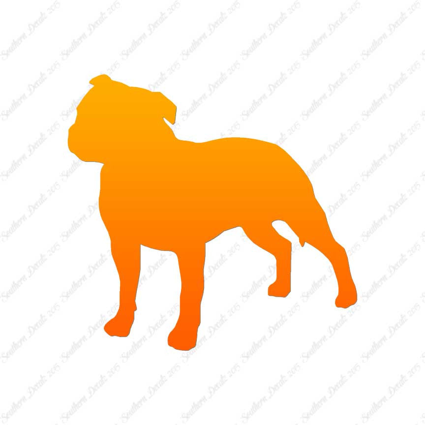 Staffordshire Bull Terrier Dog Breed