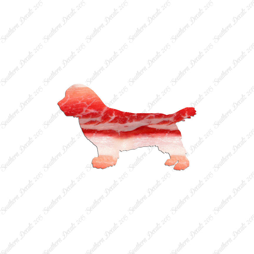 Sussex Spaniel Dog Breed