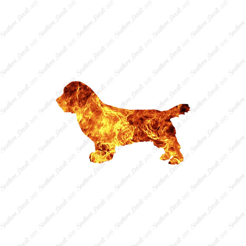 Sussex Spaniel Dog Breed
