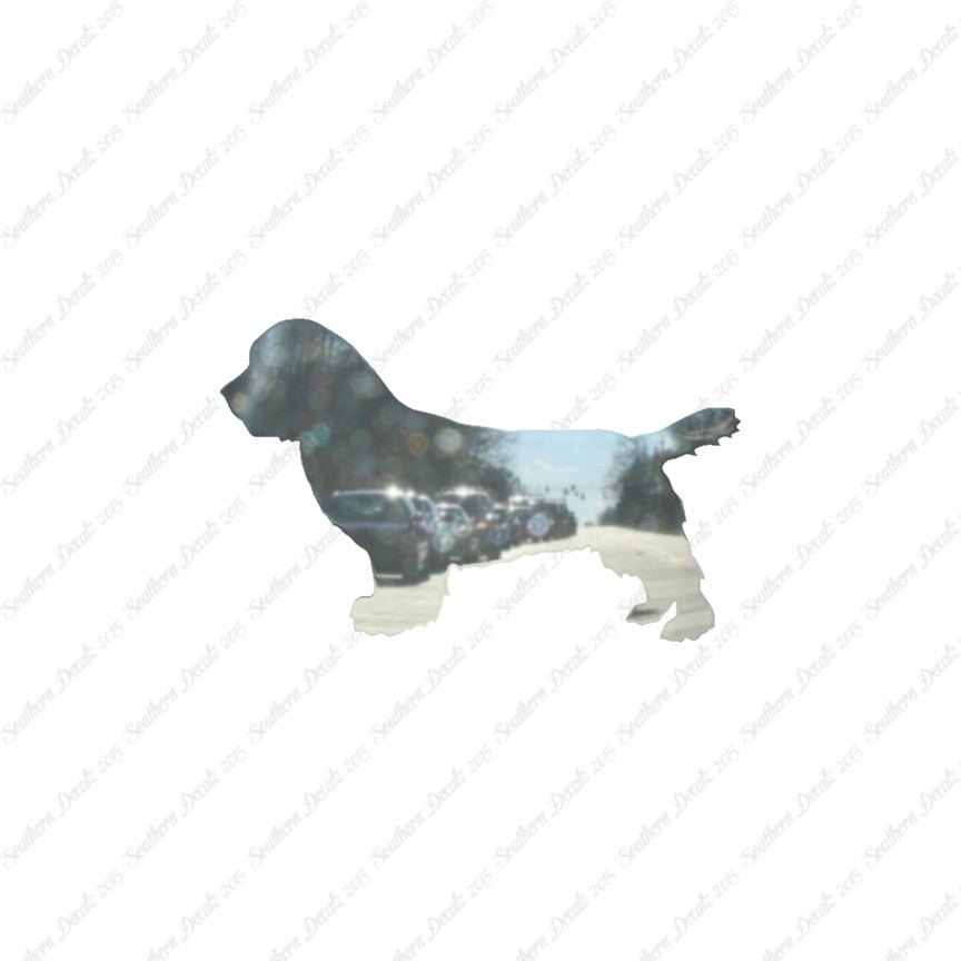 Sussex Spaniel Dog Breed
