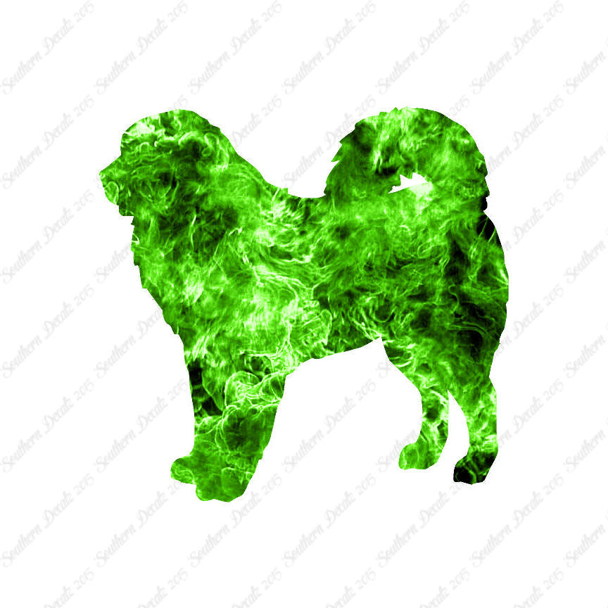 Tibetan Mastiff Dog Breed