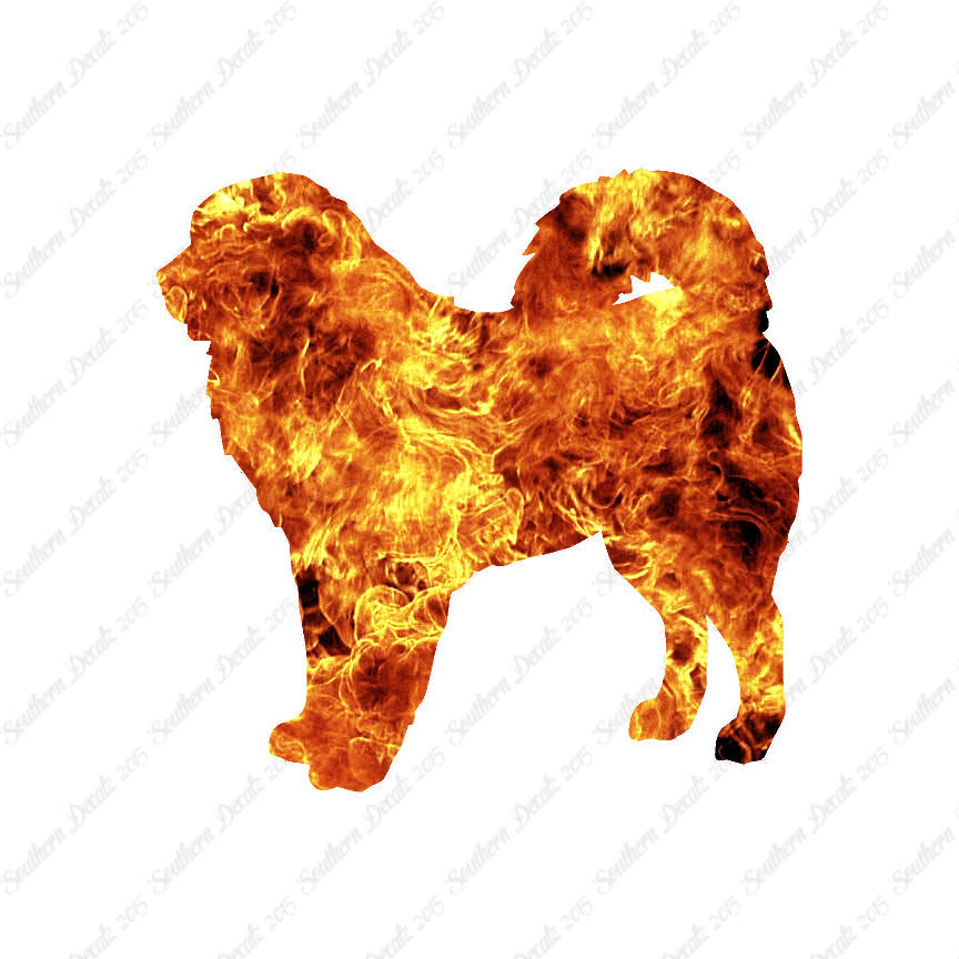Tibetan Mastiff Dog Breed