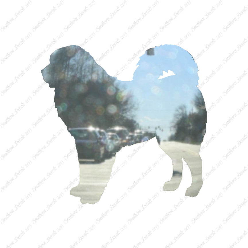 Tibetan Mastiff Dog Breed