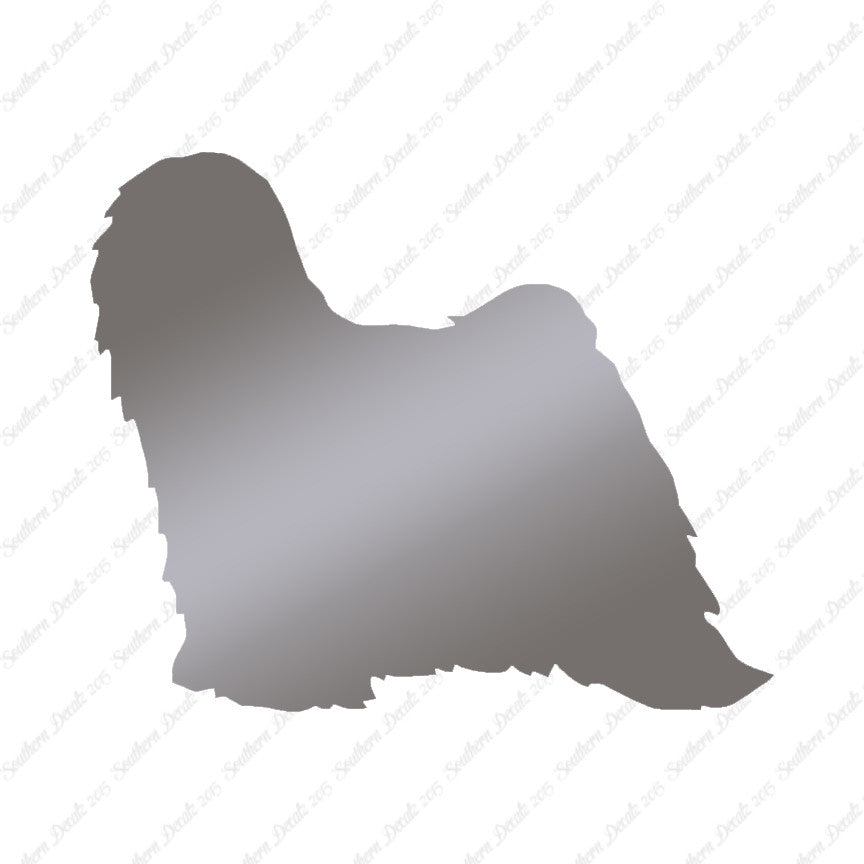 Tibetan Terrier Dog Breed