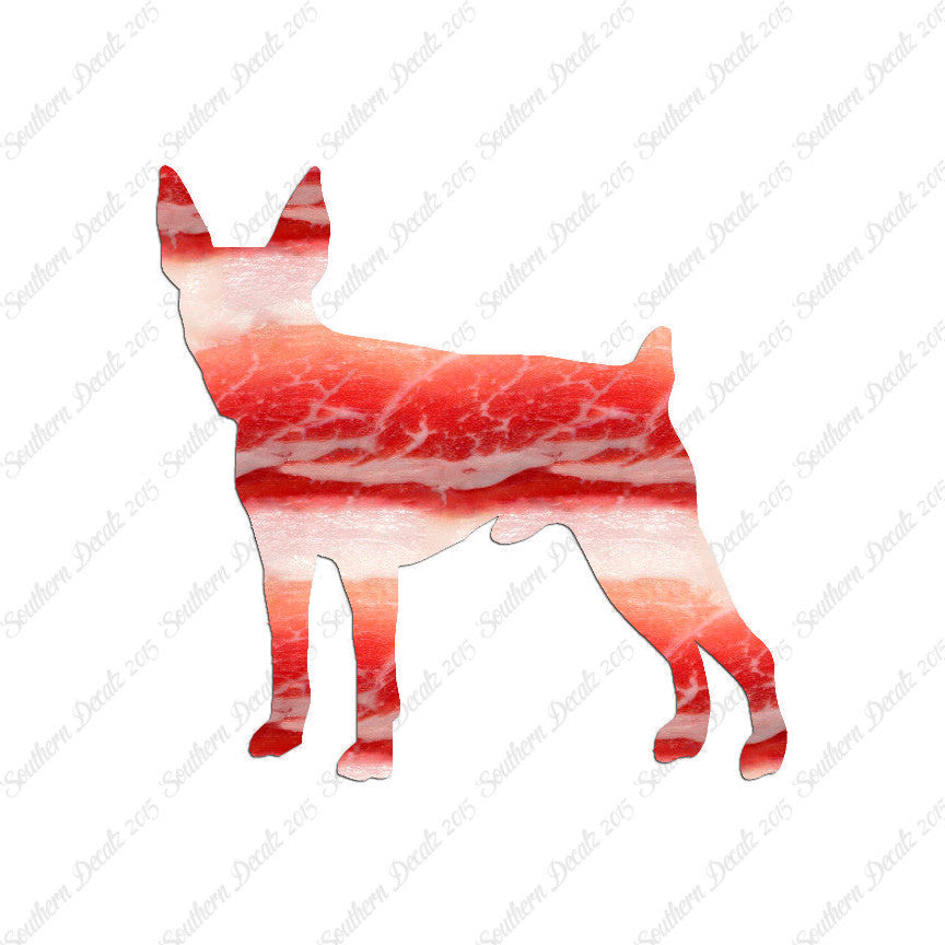 Toy Fox Terrier Dog Breed