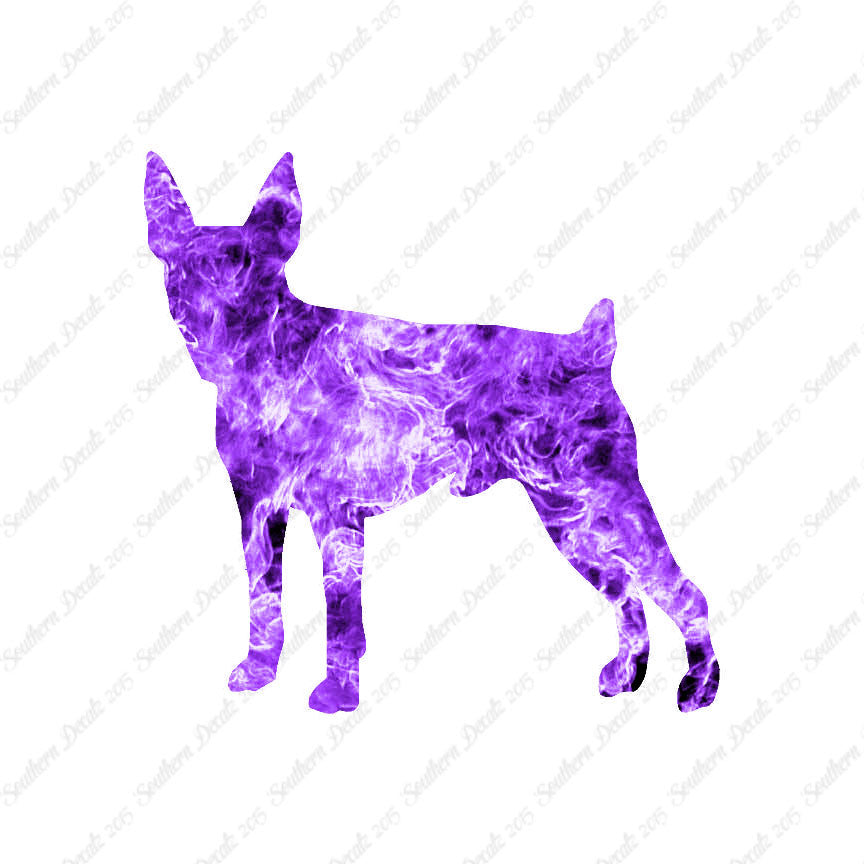 Toy Fox Terrier Dog Breed