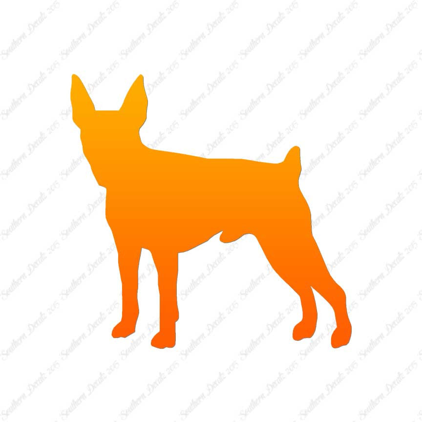 Toy Fox Terrier Dog Breed