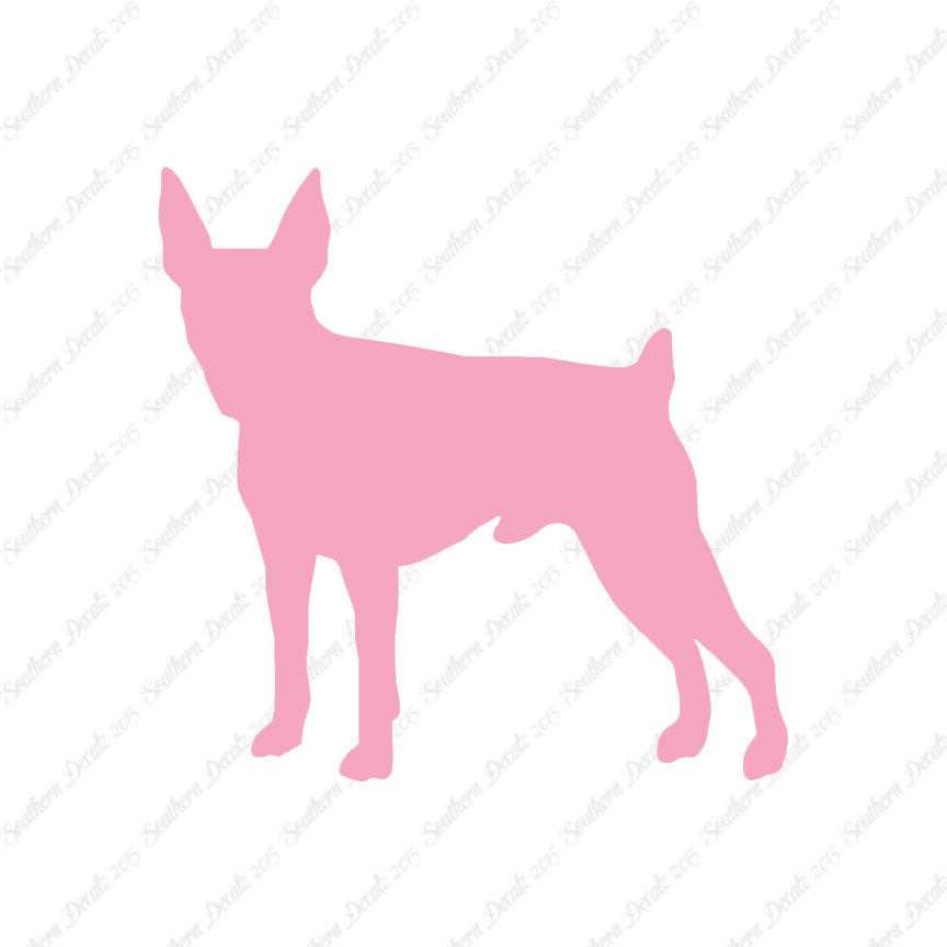 Toy Fox Terrier Dog Breed