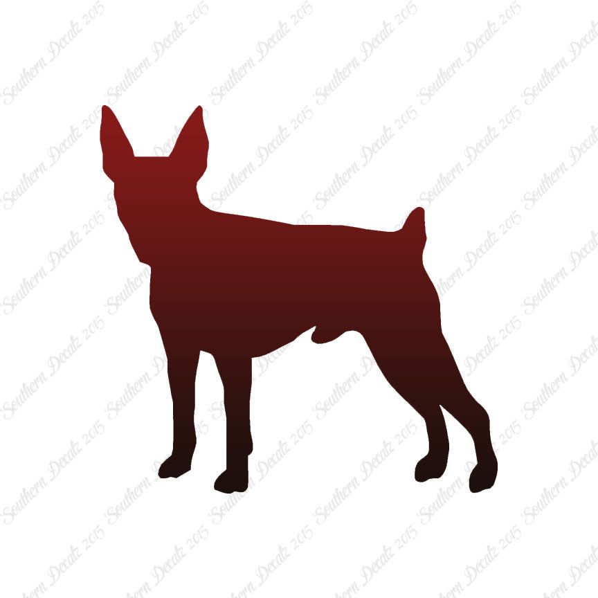 Toy Fox Terrier Dog Breed