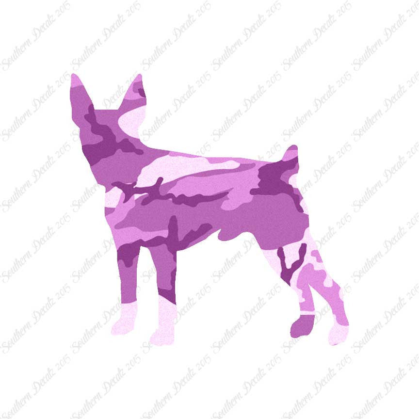 Toy Fox Terrier Dog Breed