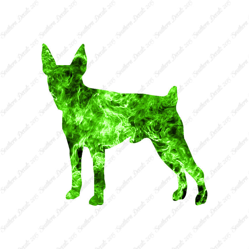 Toy Fox Terrier Dog Breed