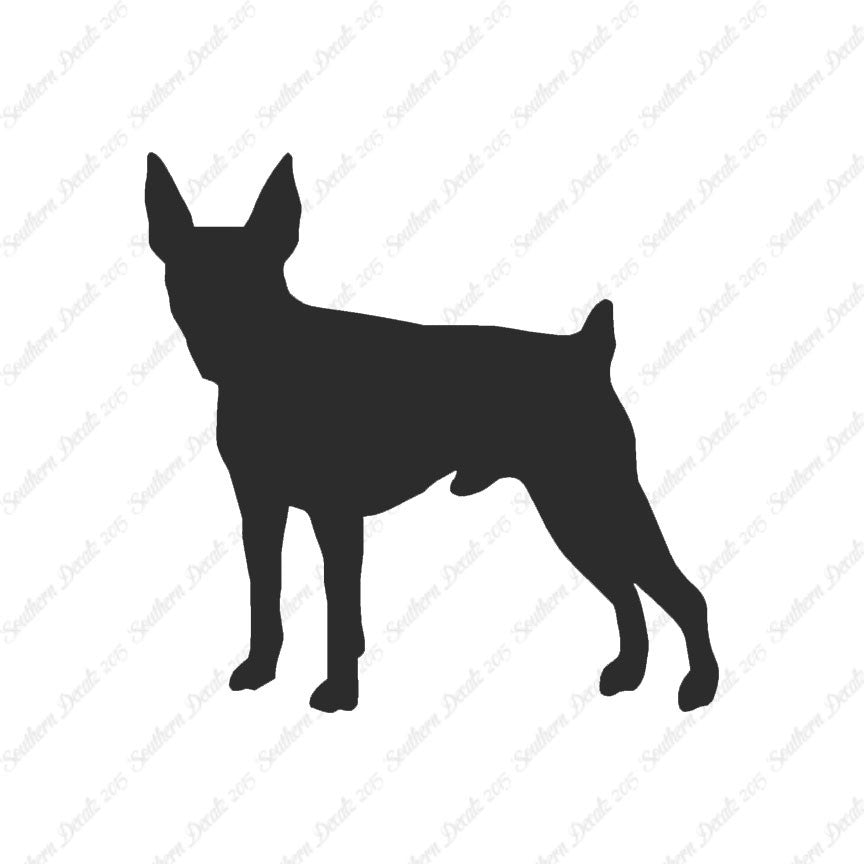 Toy Fox Terrier Dog Breed