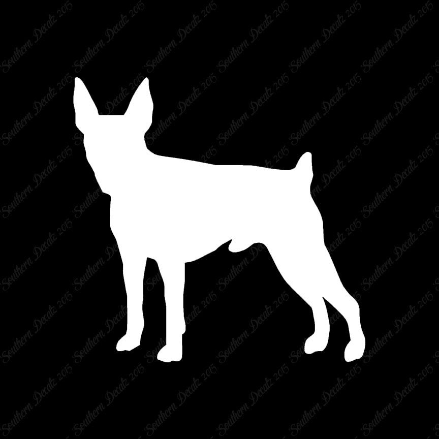 Toy Fox Terrier Dog Breed