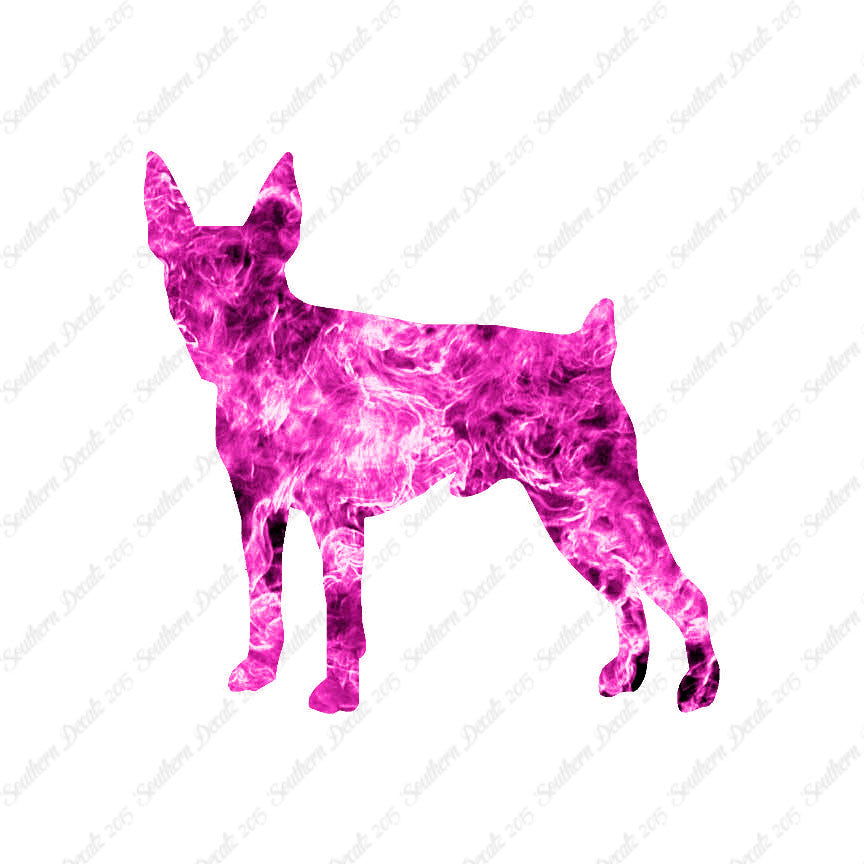 Toy Fox Terrier Dog Breed