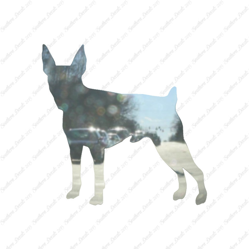Toy Fox Terrier Dog Breed