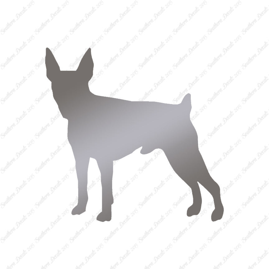 Toy Fox Terrier Dog Breed