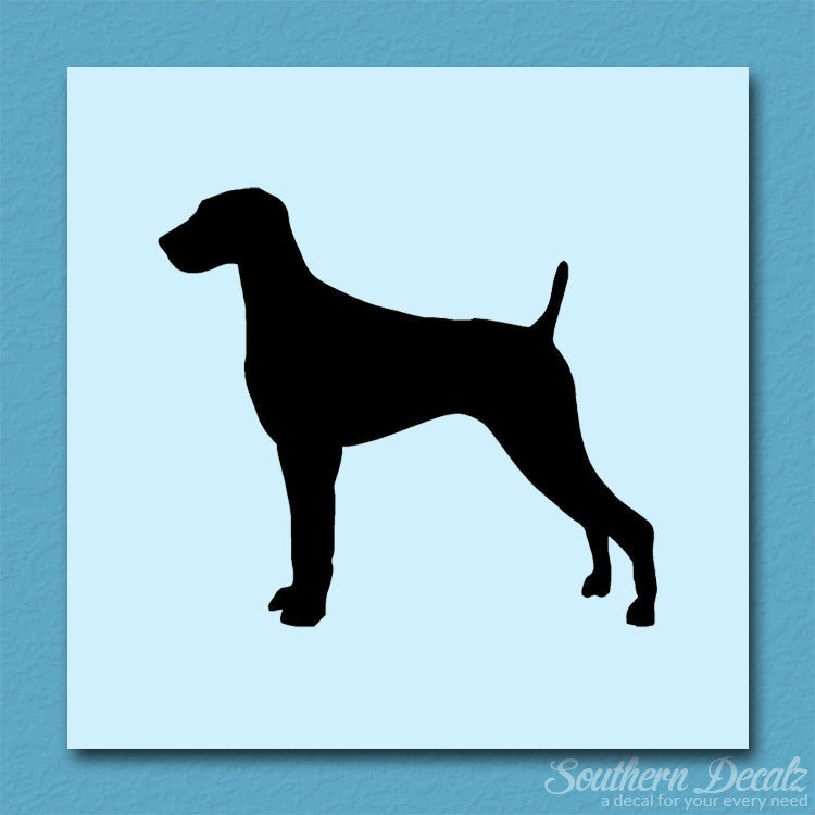 Weimaraner Dog Breed