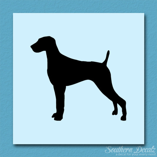 Weimaraner Dog Breed