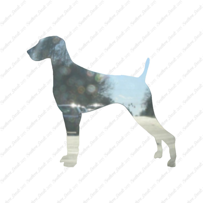 Weimaraner Dog Breed