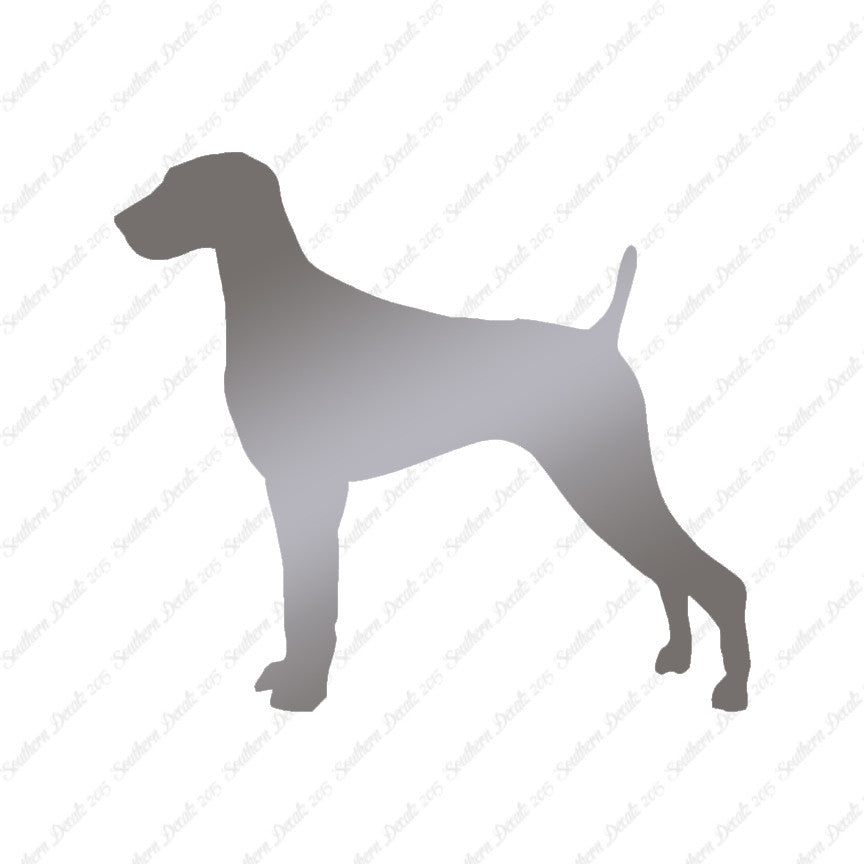 Weimaraner Dog Breed