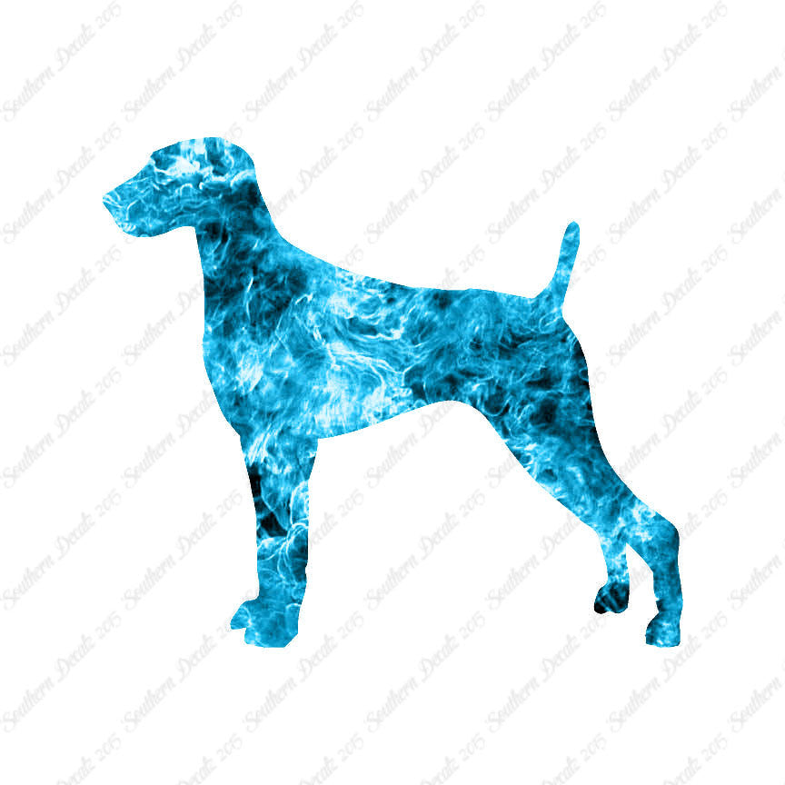 Weimaraner Dog Breed
