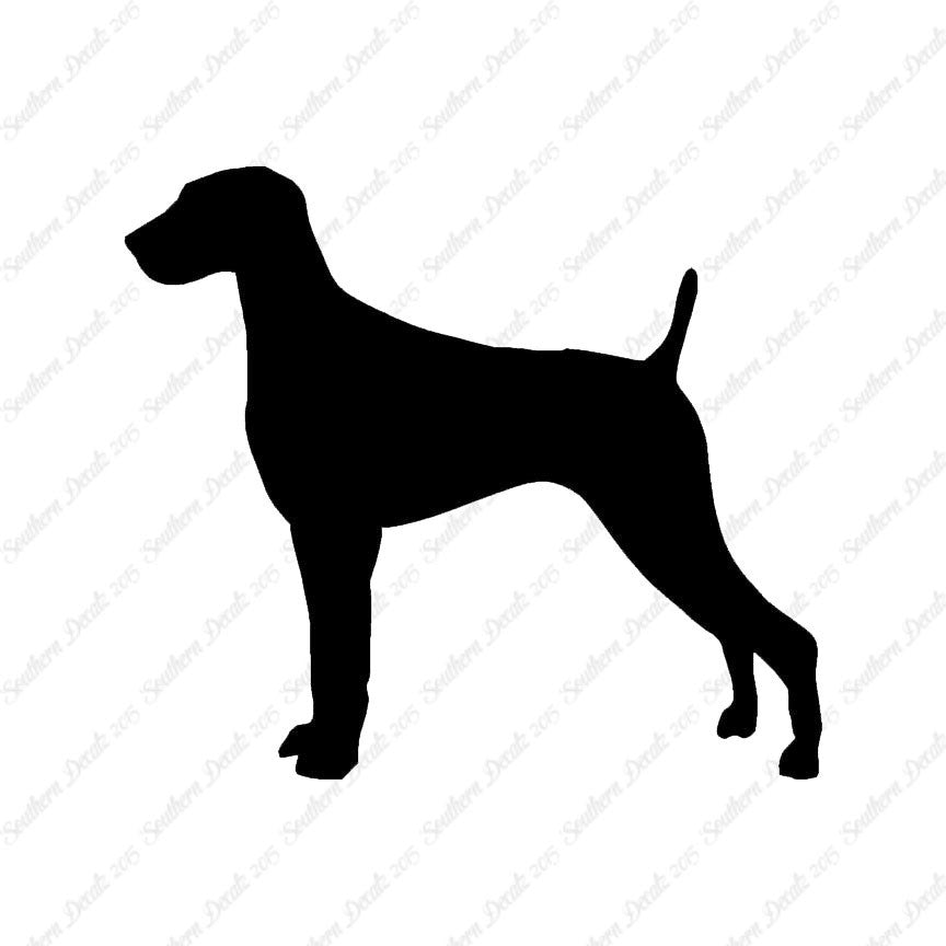 Weimaraner Dog Breed
